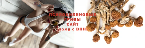 трава Заволжье