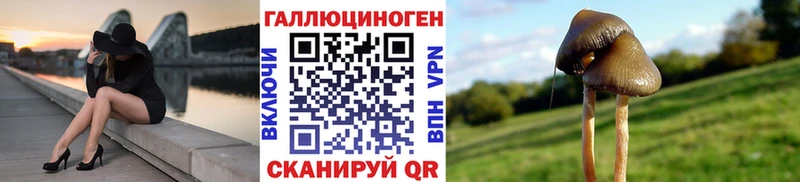 Галлюциногенные грибы Magic Shrooms  Артём 